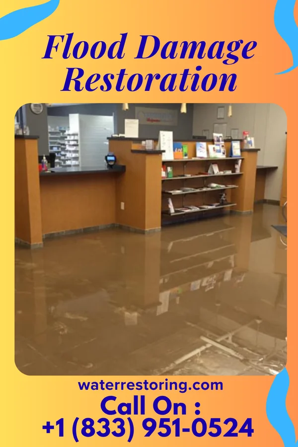 Flood Damage Restoration in Albion, NY