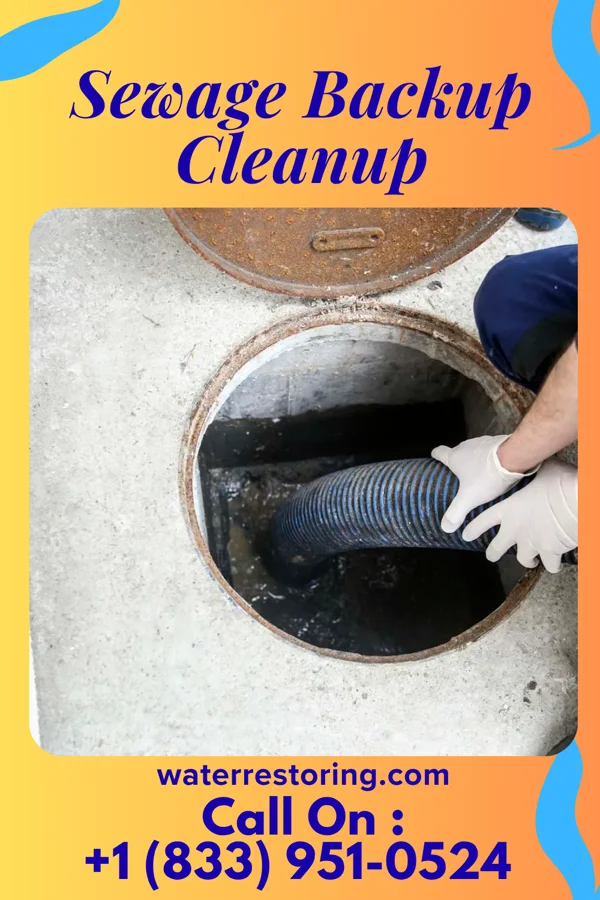 Sewage Backup Cleanup in Albion, NY
