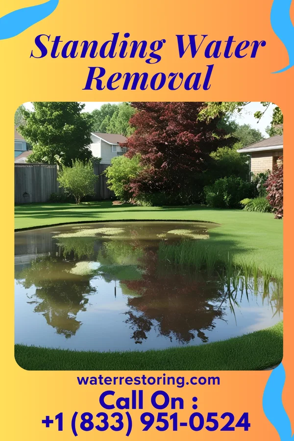 Standing Water Removal in Albion, NY